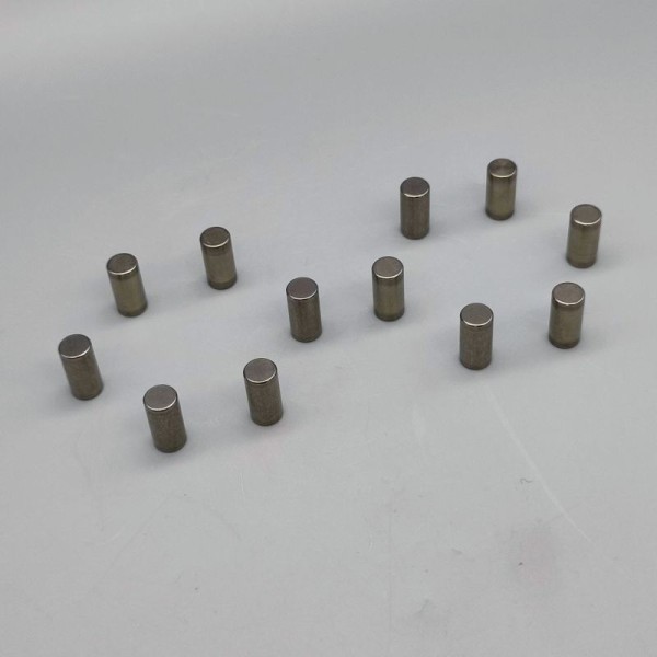 Kleinschnittger Satz (12 Stück) Lagerrollen für Freilaufgetriebe (Ø 7 mm Länge 14 mm)